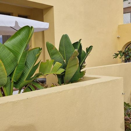 Casa Da Acoteia Apartment Faro Ngoại thất bức ảnh