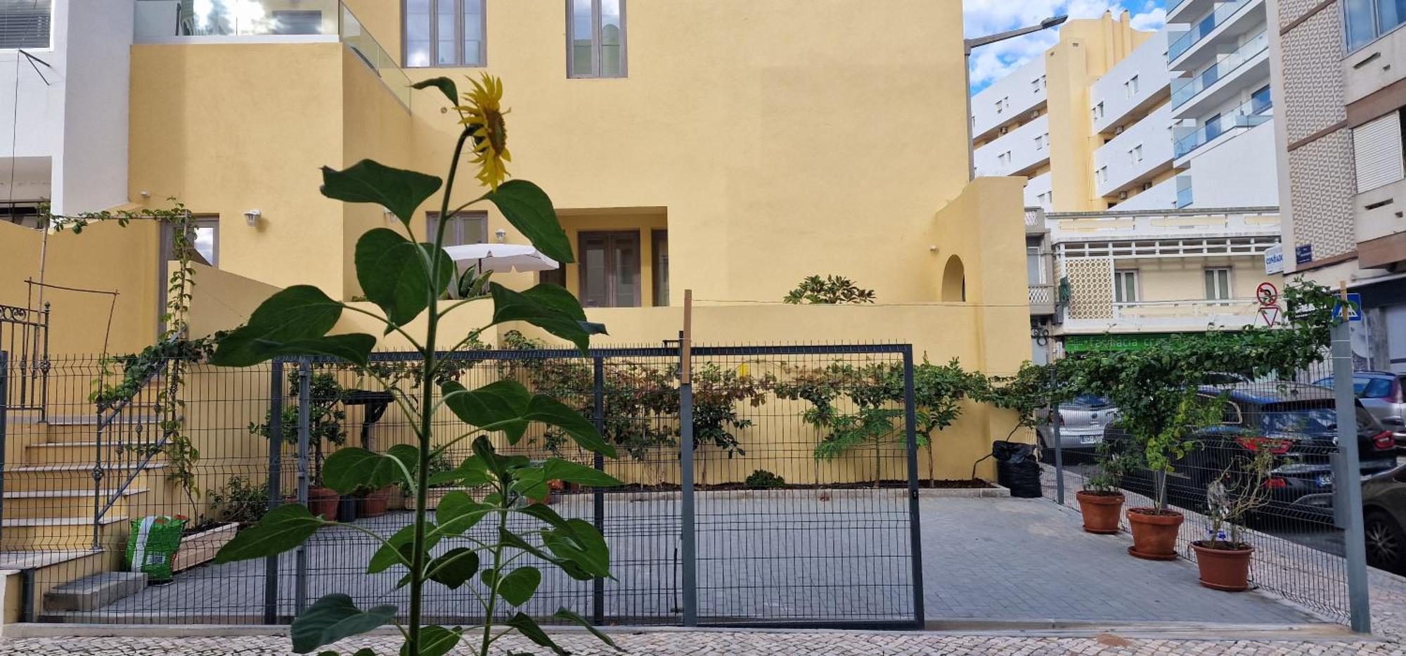 Casa Da Acoteia Apartment Faro Ngoại thất bức ảnh