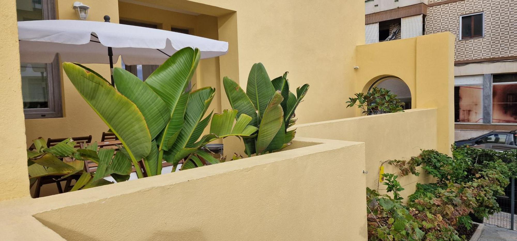 Casa Da Acoteia Apartment Faro Ngoại thất bức ảnh